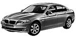 BMW F10 U110F Fault Code